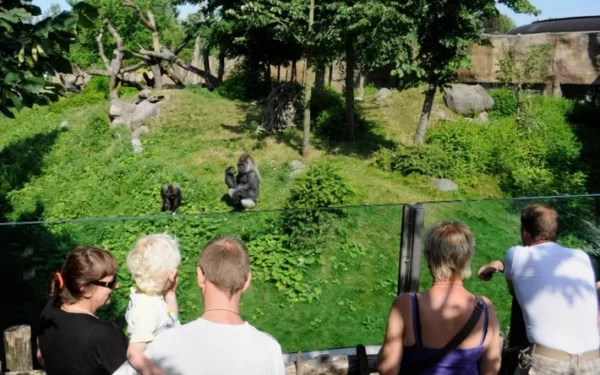 Diergaande Blijdorp - De dierentuin van Rotterdam en omstreken - Afbeelding 5